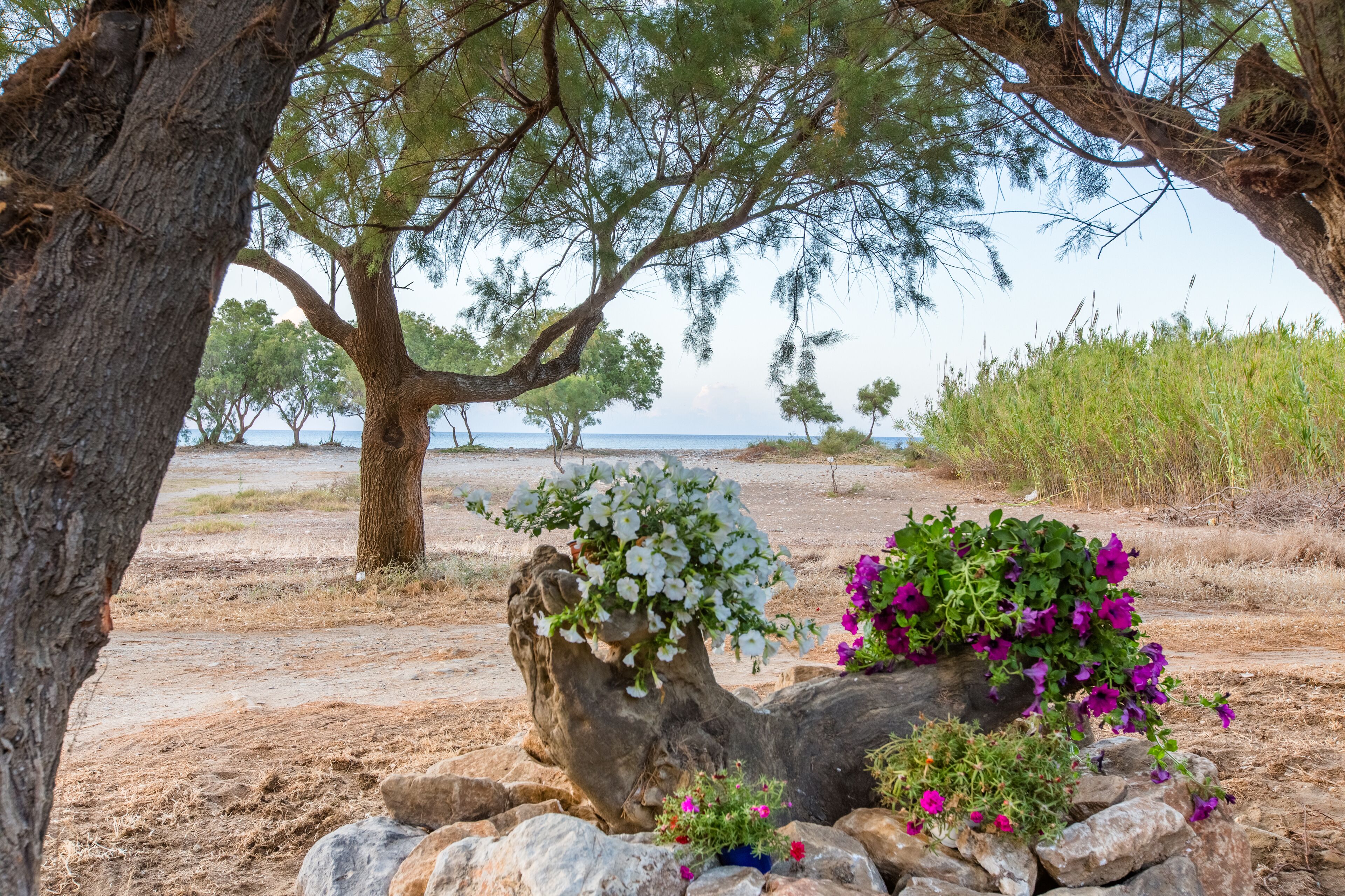Plage à proximité, chaises longues