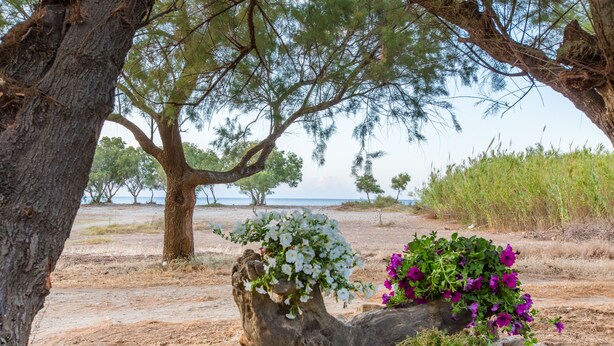 A natural landscape with a large tree, a rock formation, and a body of water in the background. - Villa Aadonis in the sea (Chania kolibari)