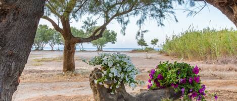 Platja a a prop i gandules de platja