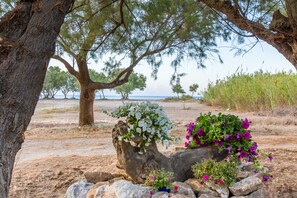 A natural landscape with a large tree, a rock formation, and a body of water in the background.