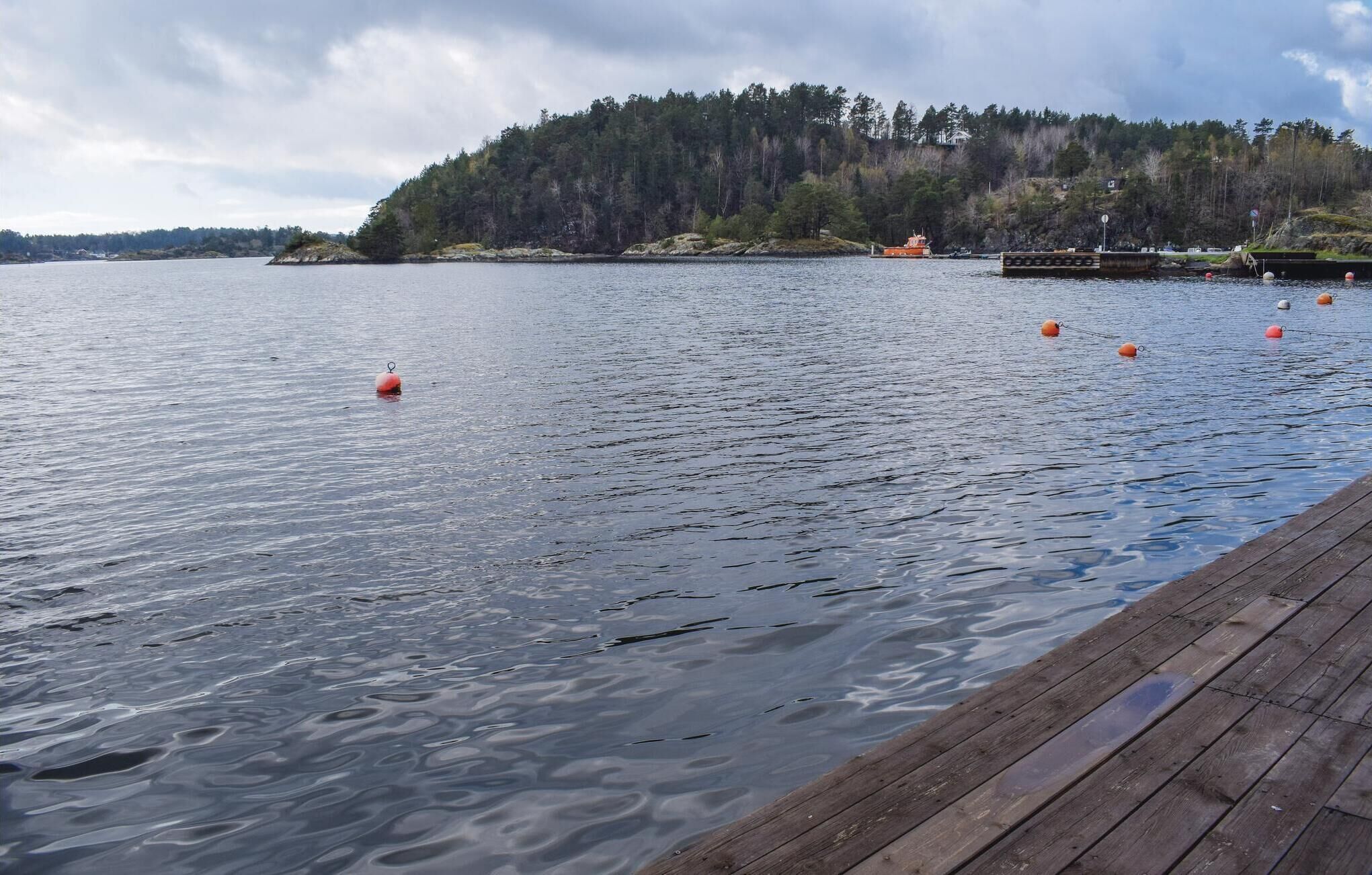 A calm lake with a wooden dock extending into the water.