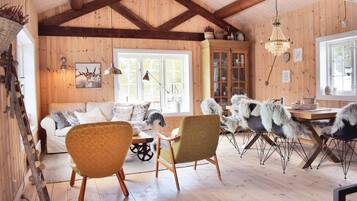 Televisie, een open haard en een dvd-speler