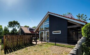 Exterior - Westerduyn 4 luxury villa very comfortable for family holidays (Westenschouwen)