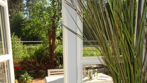 Blick durch ein Fenster mit einer weißen Tür, einer blauen Vase und einem Blumentopf.