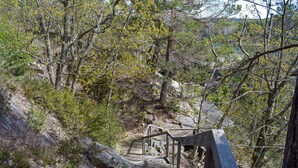 Un escalier en bois menant à un sentier rocailleux, bordé d’arbres.