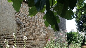 A stone wall with a narrow path beside it, surrounded by various plants and flowers.