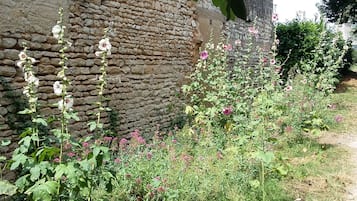 Un muro de piedra con un estrecho sendero a su lado, rodeado de diversas plantas y flores.