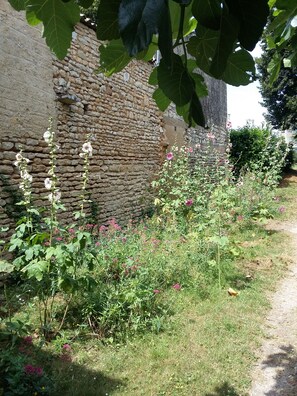 A stone wall with a narrow path beside it, surrounded by various plants and flowers. - Studio 7 - 3 min from Futuroscope - 1 to 4 persons (Chasseneuil-du-Poitou)