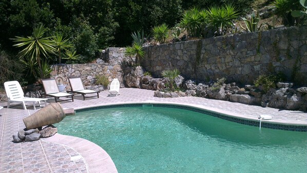 Relax by the serene pool surrounded by lush greenery and a natural stone wall.