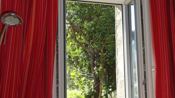 Una ventana con cortinas rojas y vista a un árbol y follaje.