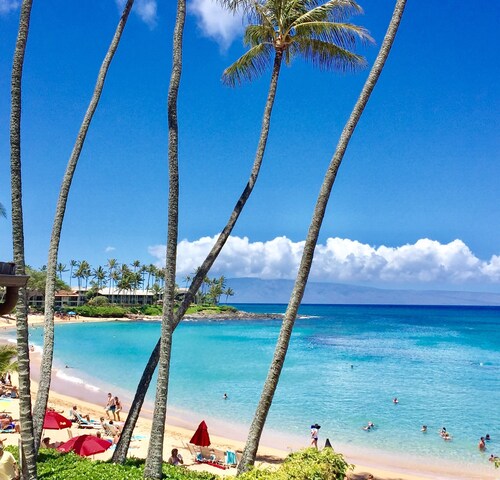 A/C OCEAN VIEW LUXURIOUS HAWAIIAN GEM 