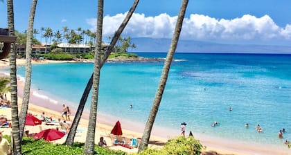 A/C OCEAN VIEW LUXURIOUS HAWAIIAN GEM