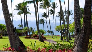 Un resort tropical con palmeras, un césped cuidado y vista al océano.