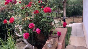 Un jardin où s’épanouissent de magnifiques roses rouges, avec un chemin de pierres qui mène à un bâtiment.