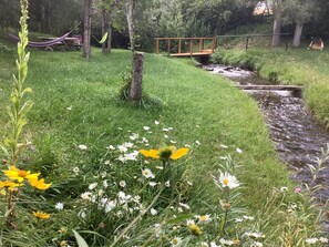 Property grounds - Mountain Cabin Retreat FAST WiFi, Ski Sipapu,Hike, Hunt,Fish,Art, Taos, Santa Fe (Chamisal)