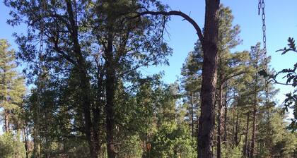 New! Artistic Studio Retreat that is Quiet & Relaxing, Bordering National Fores