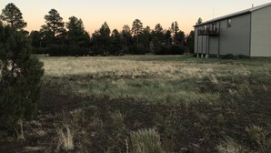 Un campo cubierto de césped con un edificio al fondo.