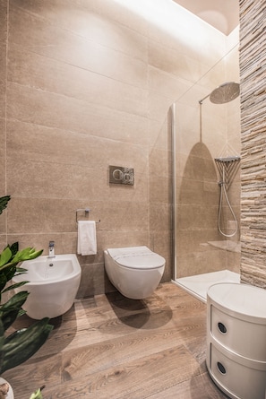 Shower, hair dryer, bidet, towels