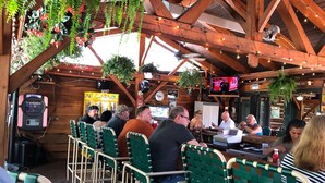 Un coin bar rustique en bois, avec des chaises en métal vert, des plantes suspendues et un écran de télévision.
