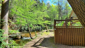 Escape to a serene forest retreat with an entrance and lush surroundings.