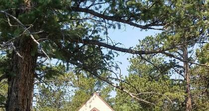 Mountain Cabin For 4 ~ Close To Estes And Rocky Mountain NP