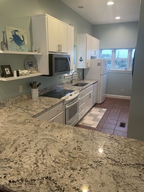 Fridge, microwave, oven, stovetop - Sharing our Beach Front Beauty with you !!!  (St George Island)