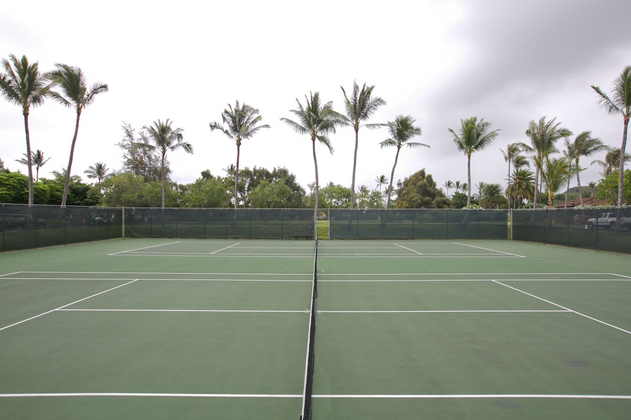 A tennis court with multiple courts, surrounded by palm trees and a fence.