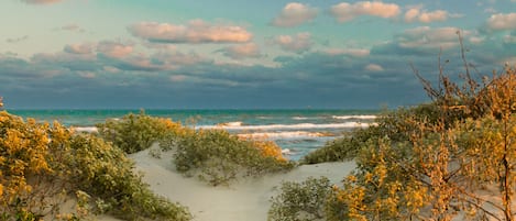 Plage à proximité, chaises longues
