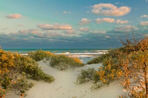 Playa en los alrededores y camastros