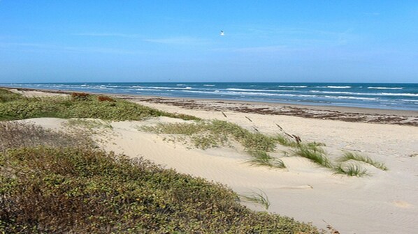 Playa en los alrededores y camastros 