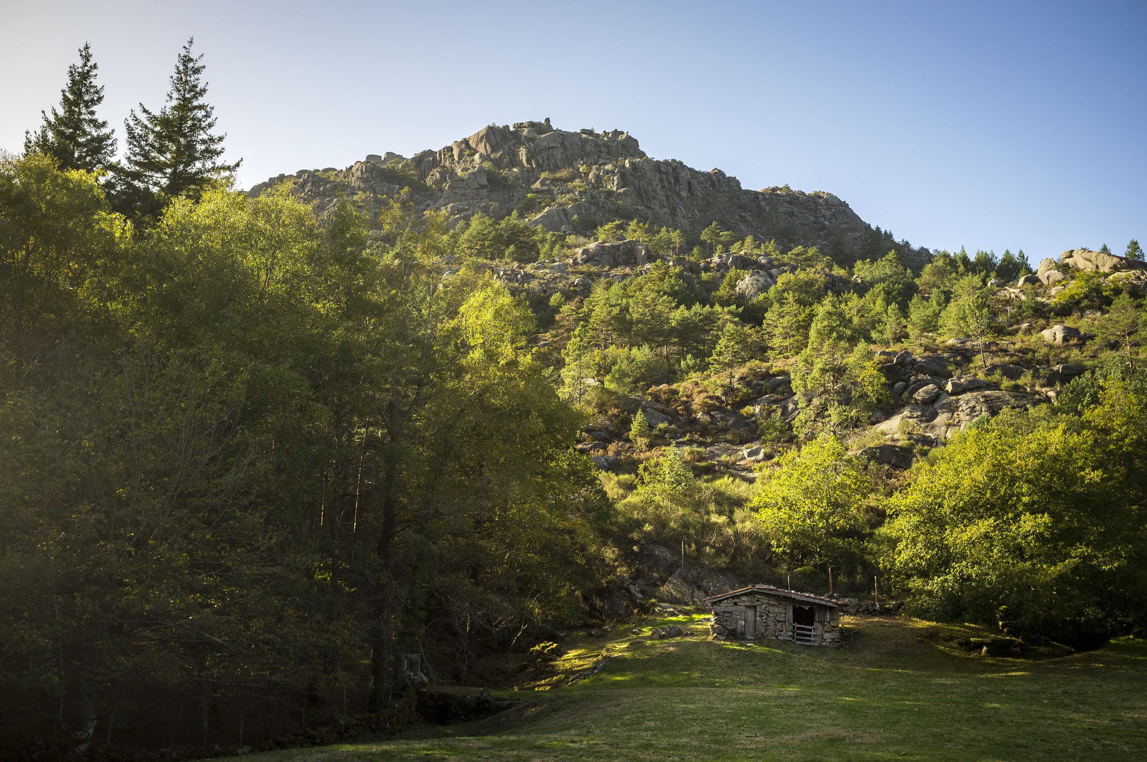 A rustic cabin nestled in a forested area with a rocky mountain in the background.
