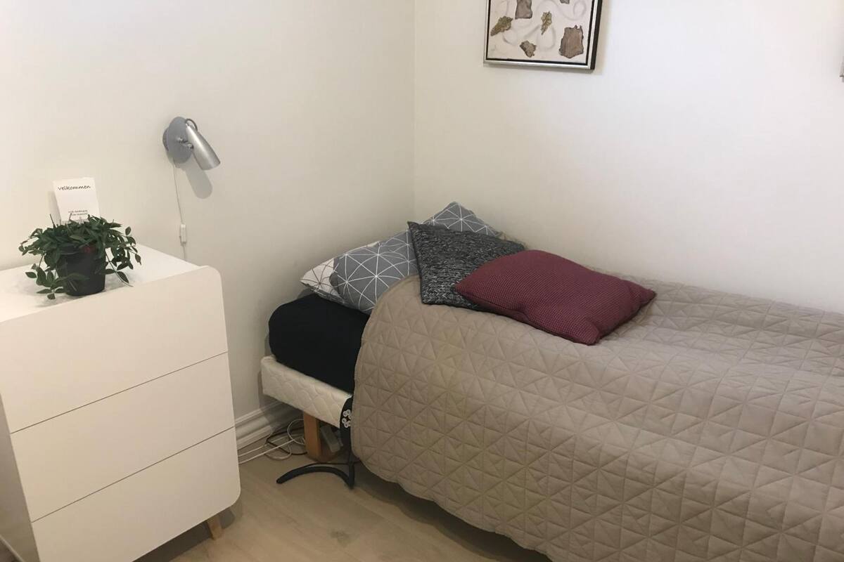 A small, neatly organized bedroom with a bed, a bedside table with a plant, and a wall-mounted lamp.