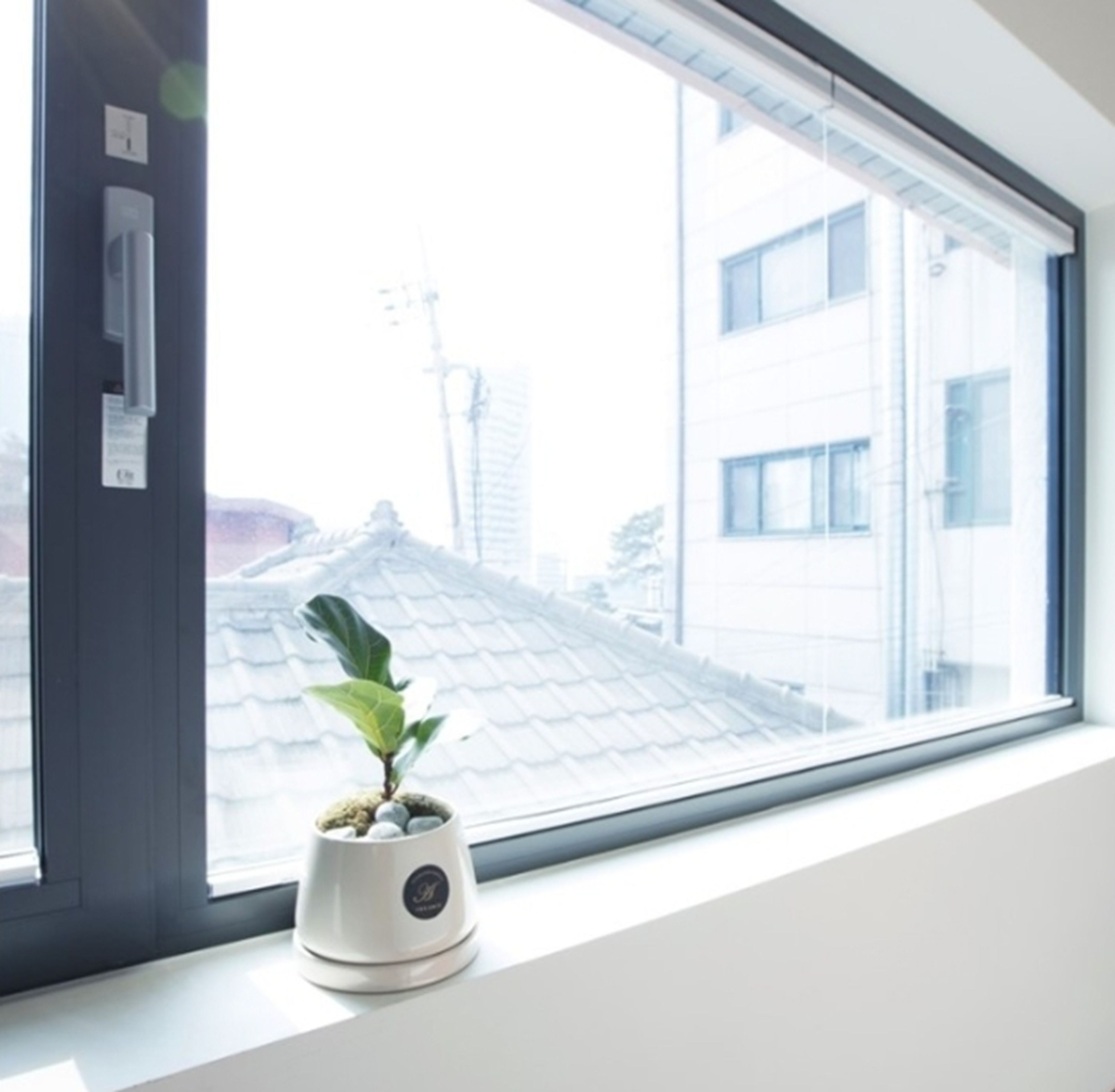 A window with a potted plant on the sill.