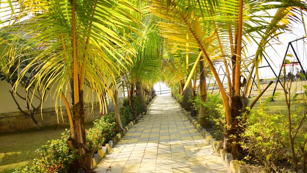 A pathway lined with palm trees and a swing set, leading to a building.