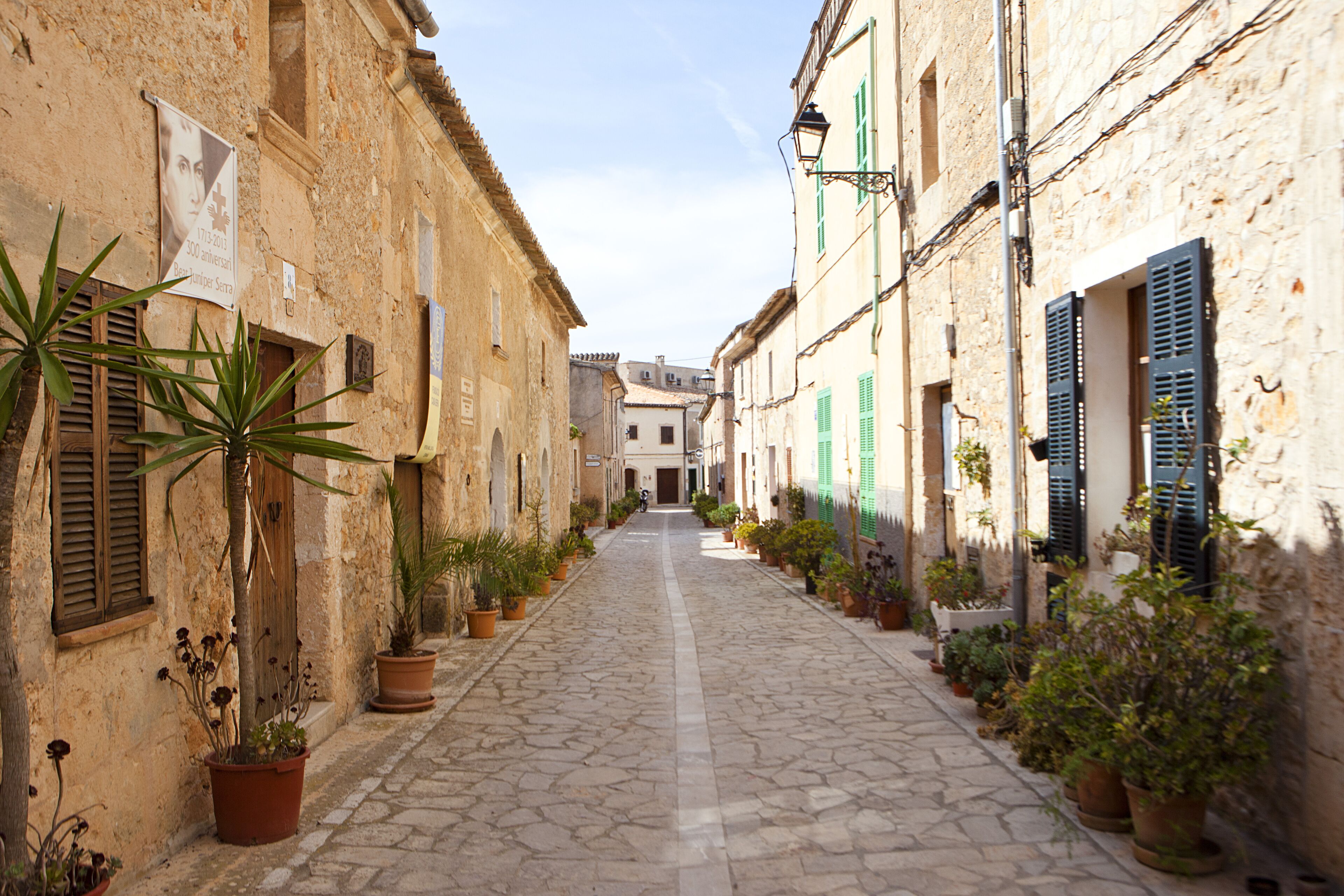 Un carrer empedrat i estret flanquejat per edificis antics amb persianes i plantes en testos.