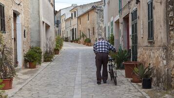 Una estrecha calle adoquinada flanqueada por edificios históricos, plantas en macetas y un hombre con una bicicleta.