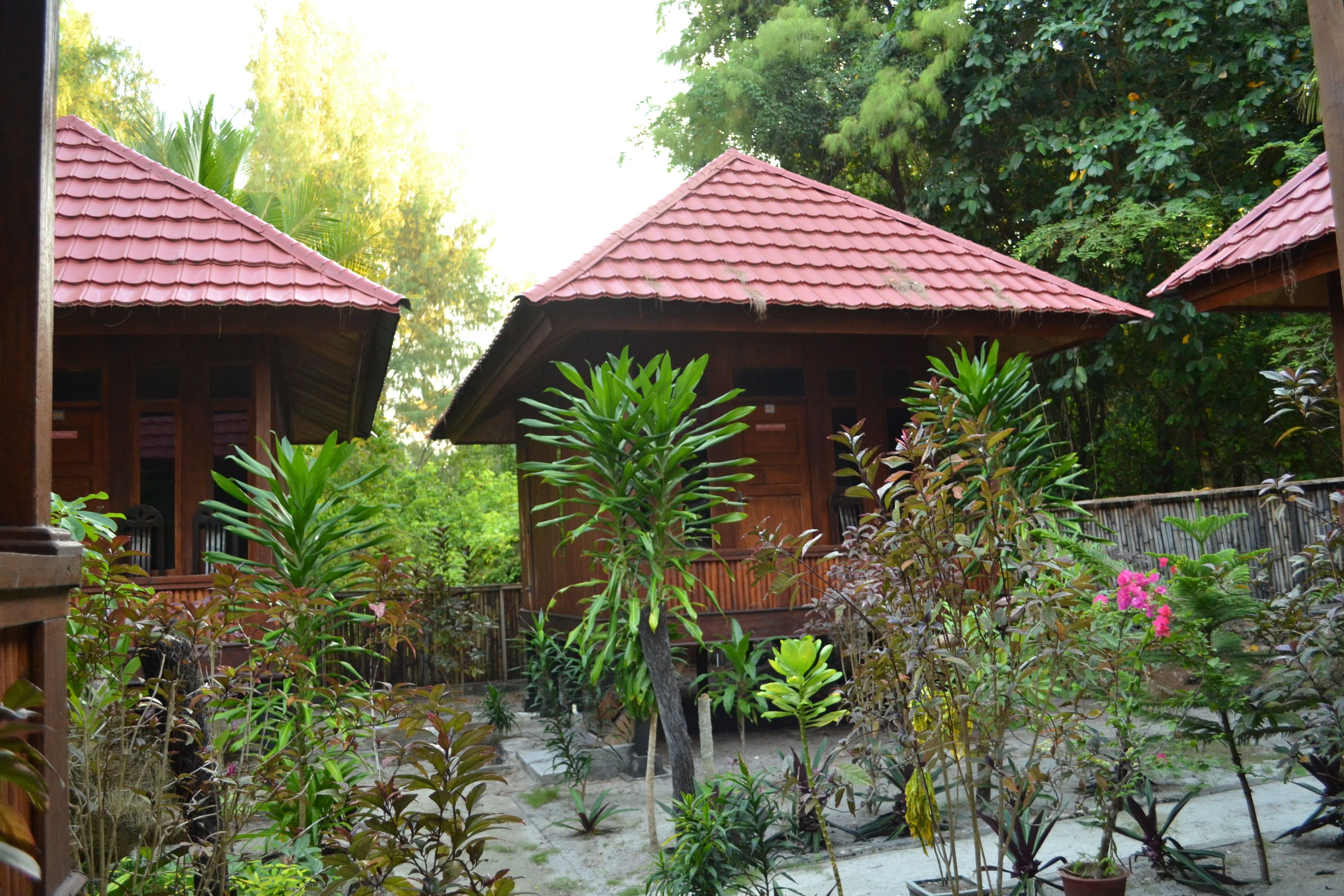 A wooden structure with a tiled roof surrounded by various plants and trees.