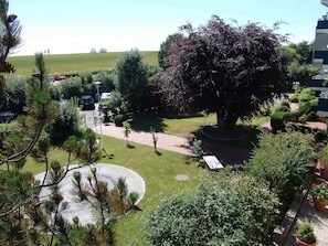 Un área ajardinada con un árbol grande, un elemento decorativo circular y un sendero pavimentado.