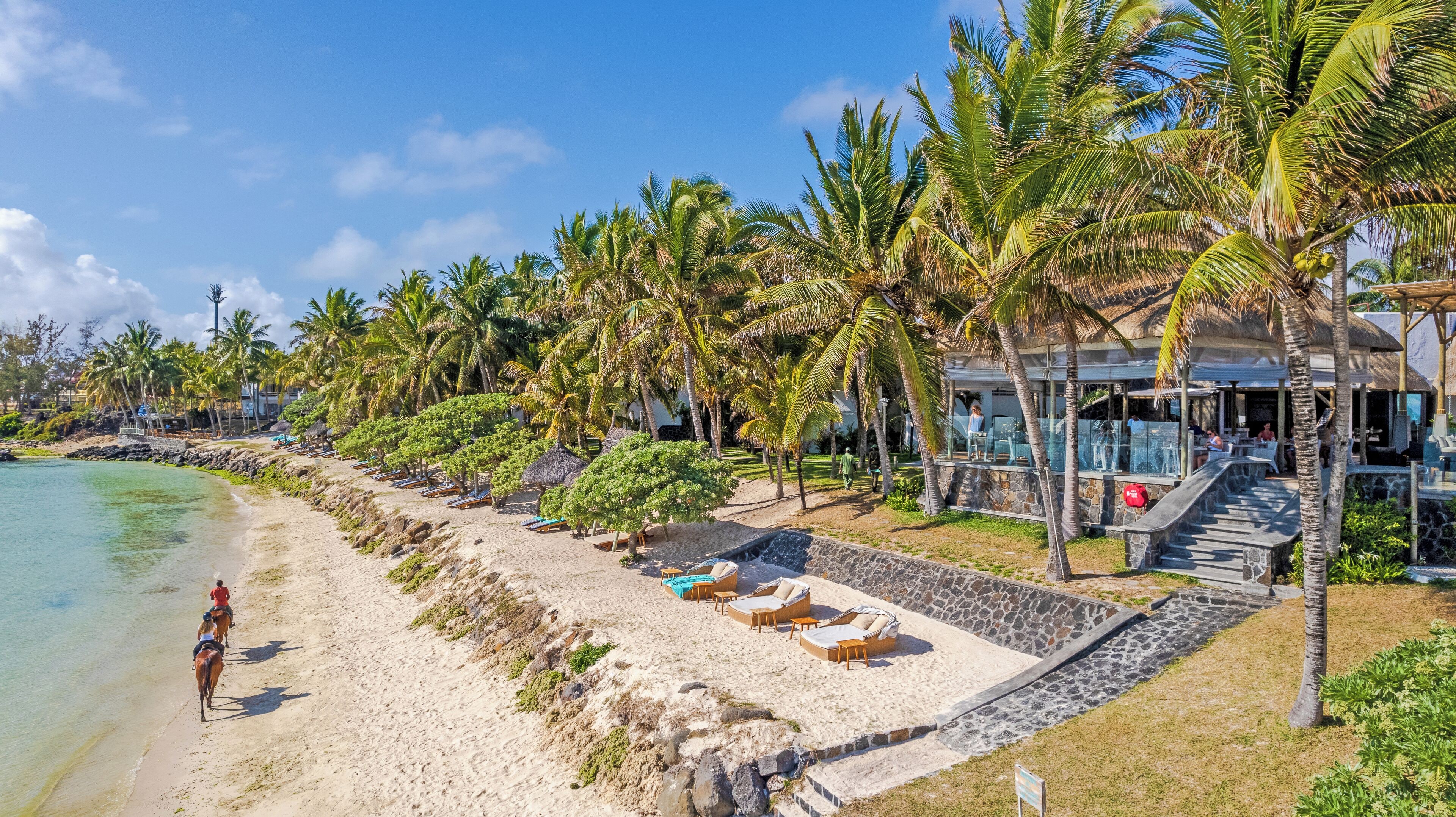 A beachside resort with a sandy walkway, palm trees, and a pool area with lounge chairs.