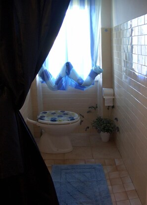 Standard Double Room | Bathroom | Shower, hair dryer, towels