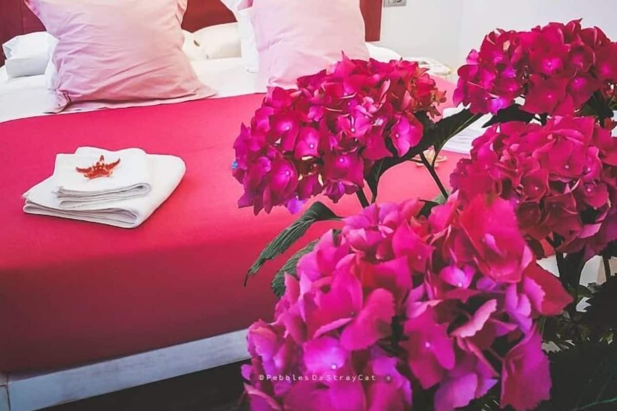 Deluxe Room, 1 Bedroom, Non Smoking, Ensuite (Vista) | 1 bedroom, premium bedding, pillowtop beds, in-room safe