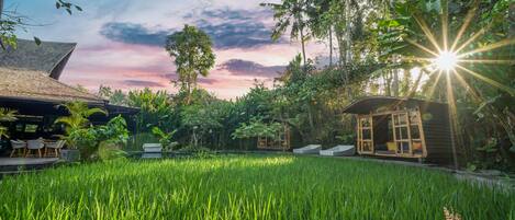 Piscina all'aperto, cabanas (a pagamento), lettini