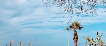 Sol Palmeras Beach - Family Hotel