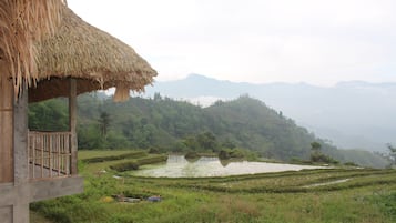 Uitzicht vanuit accommodatie