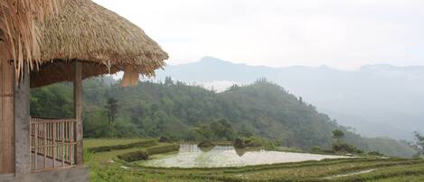 Vue depuis l’hébergement