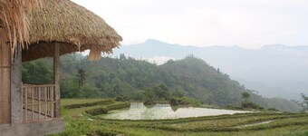 ギエンズ ホームステイ - ホステル