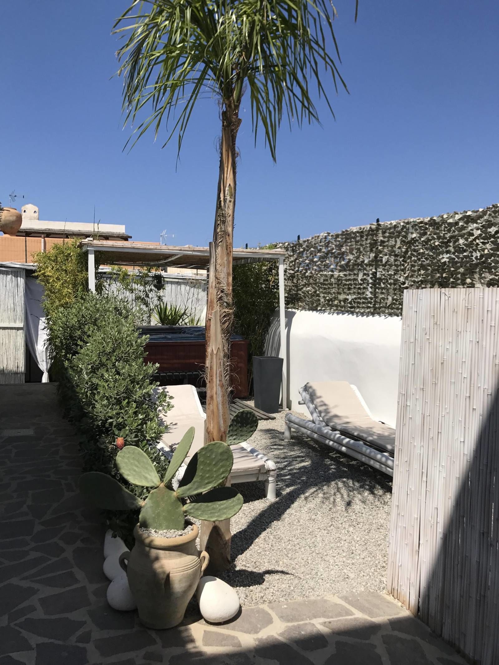 Un espace patio agrémenté d’un palmier, de cactus et d’une clôture en bois.