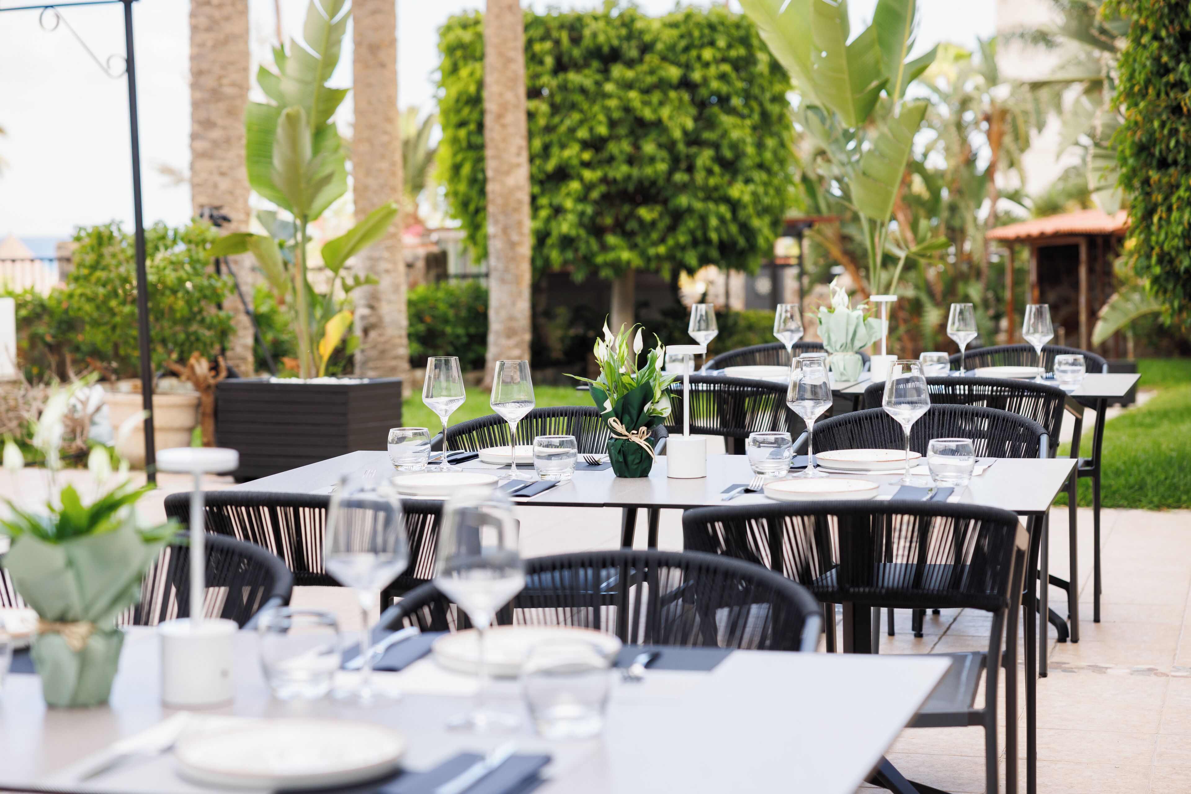 Un área de comedor al aire libre con mesas dispuestas para dos, rodeada de sillas y plantas en macetas.
