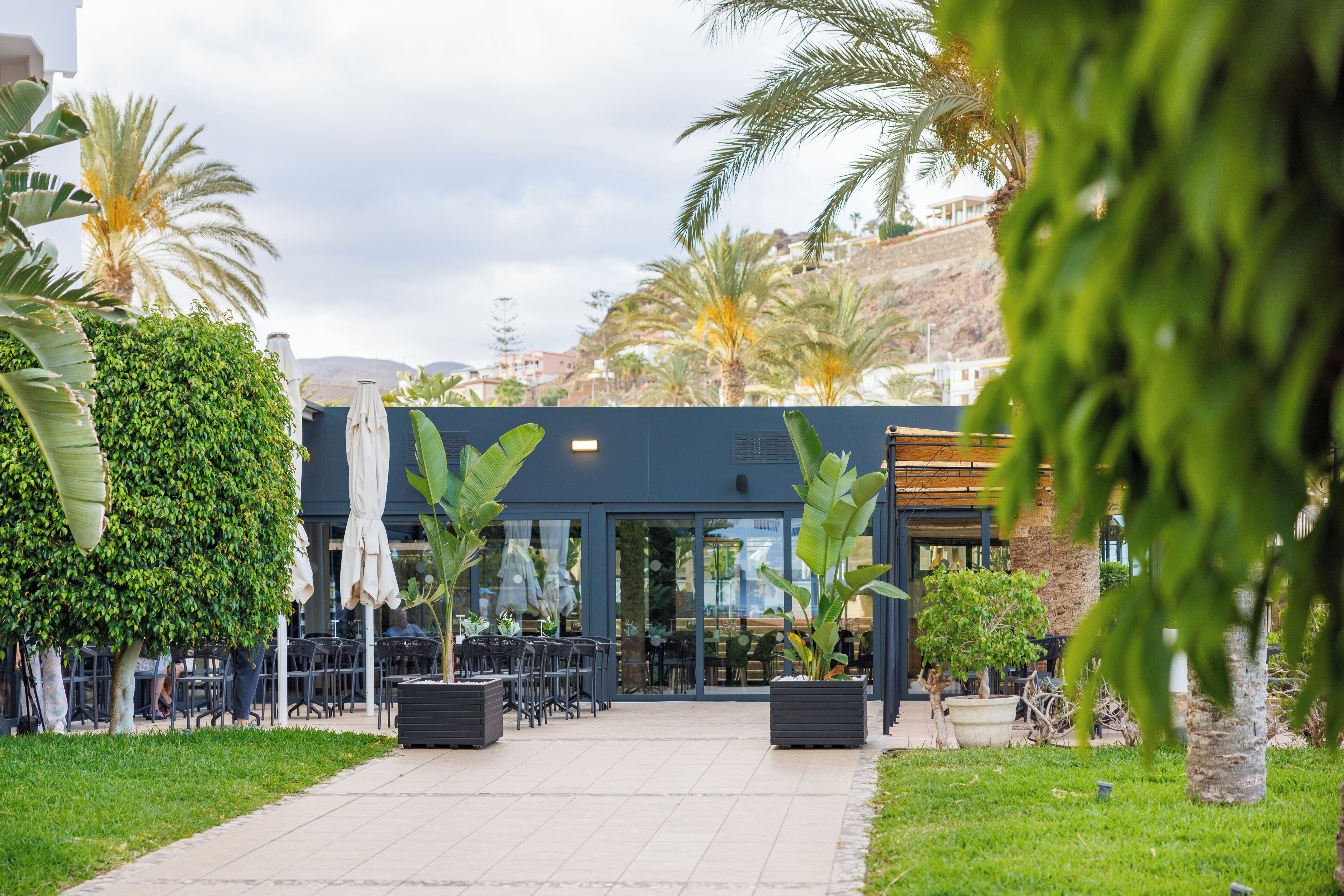 Un área de café al aire libre con mesas y sillas, rodeada de follaje y palmeras.