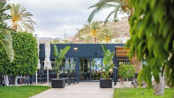 Un área de café al aire libre con mesas y sillas, rodeada de follaje y palmeras.